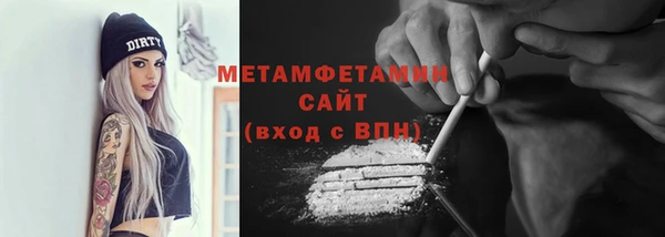 прущие грибы Балабаново