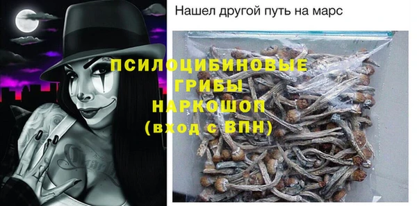 прущие грибы Балабаново