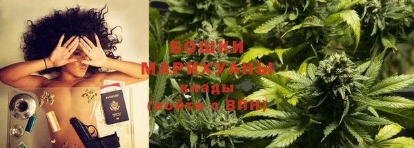 прущие грибы Балабаново
