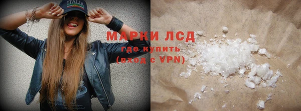 прущие грибы Балабаново