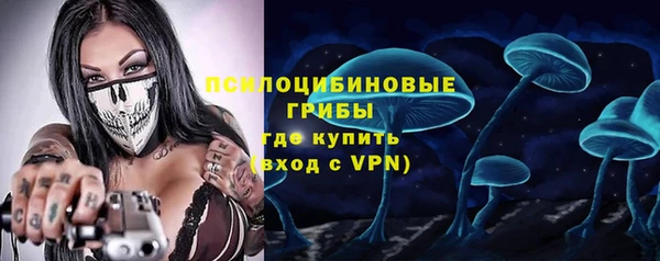прущие грибы Балабаново