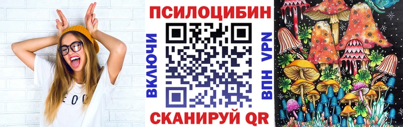 Псилоцибиновые грибы Psilocybine cubensis  купить наркоту  Белёв 